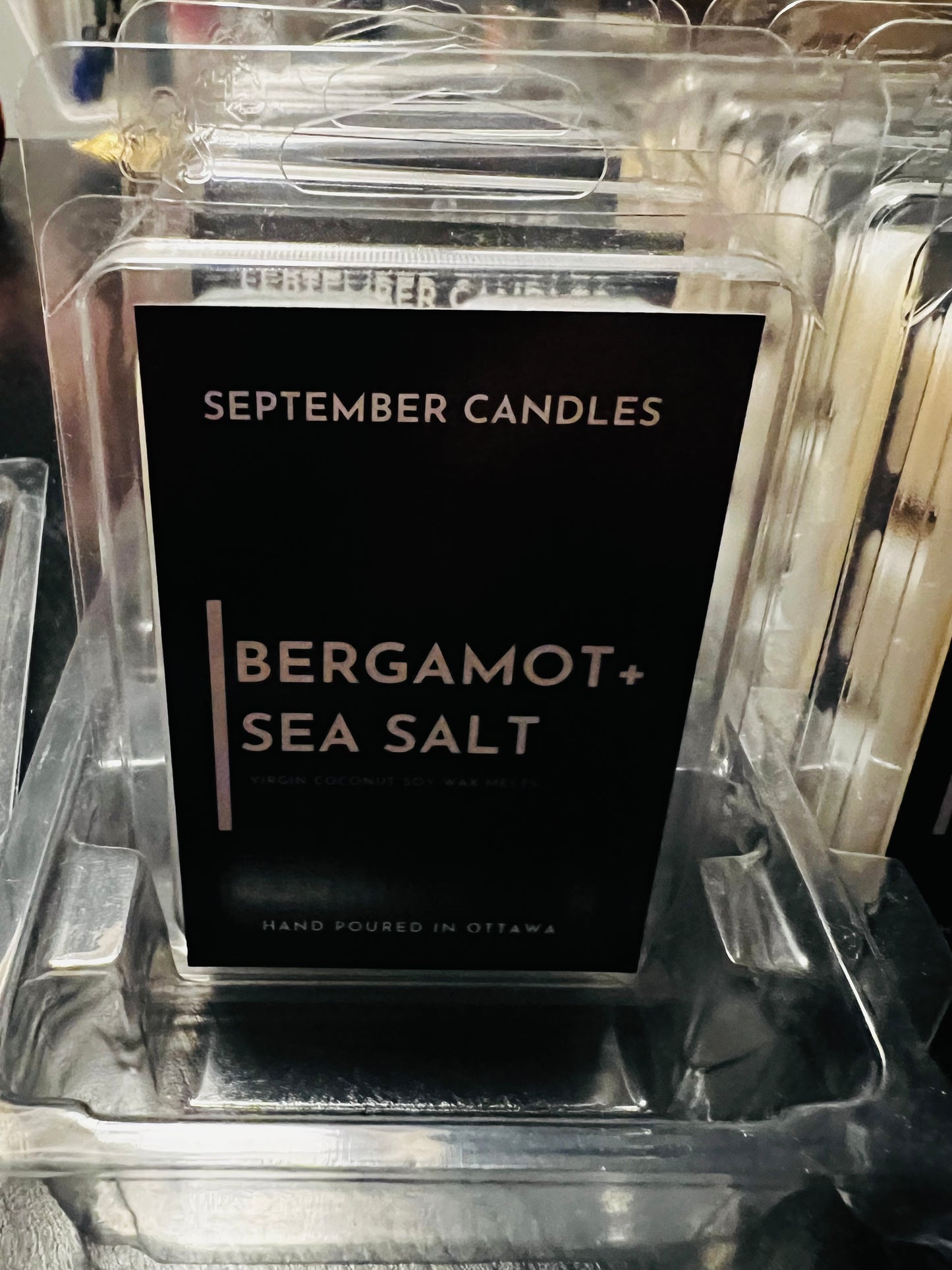 BERGAMOT + SEA SALT - Wax Melts